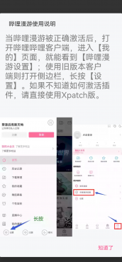 【分享】哔哩哔哩‍v8.65.0内置漫游模块‍解锁限制